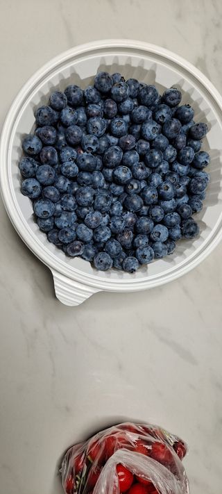 장준재님의 블루베리 · 자유게시판 작성글 사진