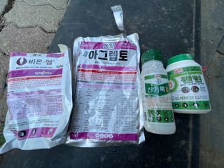 시동블루베리님의 농부님! 어떤 농약 쓰세요? · 참여 작성글 사진