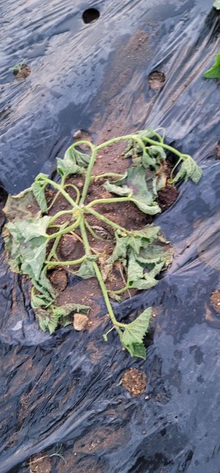 갈대님의 자유주제 · 자유게시판 작성글 사진