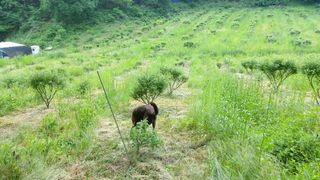 산초박님의 기타작물 · 자유게시판 작성글 사진