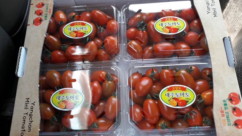 장터 상품 [대추방울토마토3kg] 썸네일