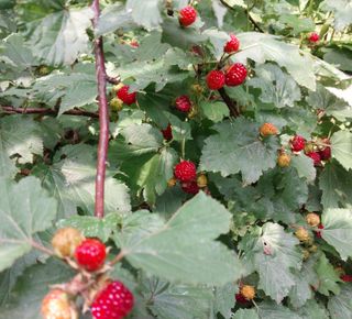 철남 김희곤님의 기타작물 · 자유게시판 작성글 사진