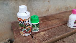 윤형식 님의 농부님! 어떤 농약 쓰세요? · 참여 작성글 사진