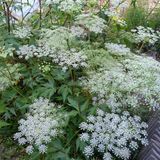 팜모닝 자유주제·자유게시판 게시글 이미지