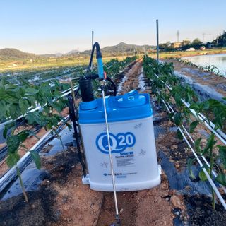 보리수치유농장님의 농부님! 어떤 농약 쓰세요? · 참여 작성글 사진