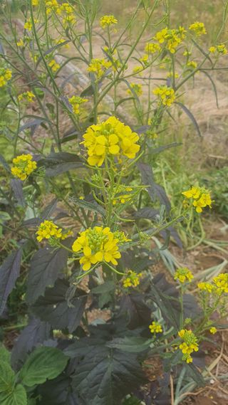 황의성님의 자유주제 · 사진전 작성글 사진
