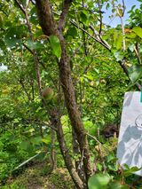 팜모닝 기타작물·자유게시판 게시글 이미지