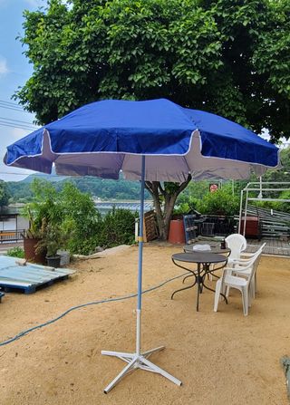 봉주르님의 작성글 사진