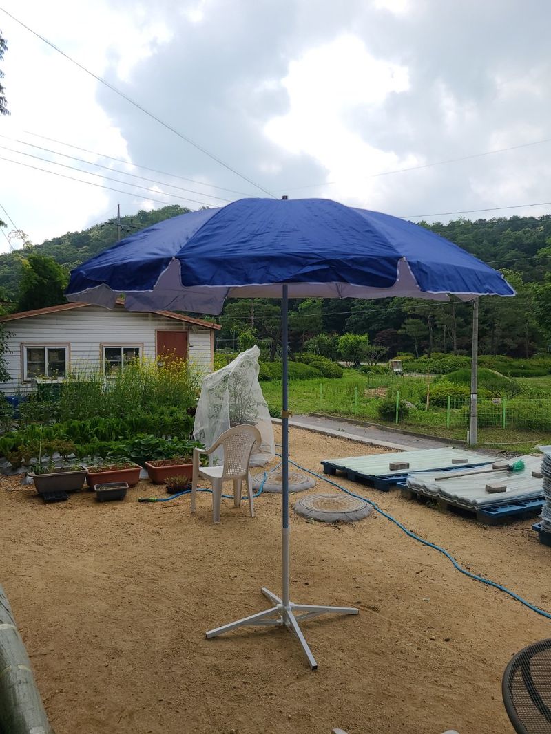 봉주르님의 장터 판매 상품 [파라솔세트 팝니다.] 첨부 사진