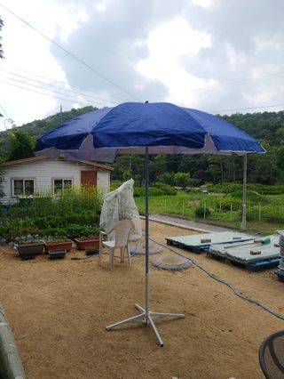 봉주르님의 작성글 사진