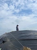 팜모닝 벼·자유게시판 게시글 이미지