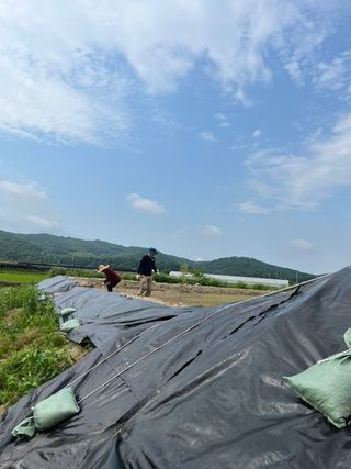 박정화님의 벼 · 자유게시판 작성글 사진