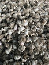 팜모닝 · 게시글 이미지