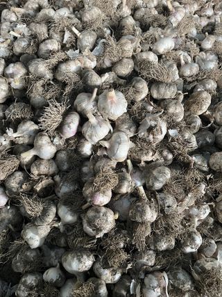 농부딸님의 작성글 사진