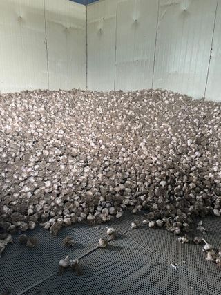 농부딸님의 작성글 사진