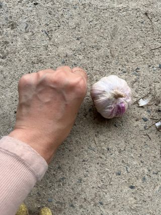 농부딸님의 작성글 사진