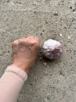 농부딸님의 작성글 사진