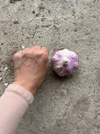 농부딸님의 작성글 사진