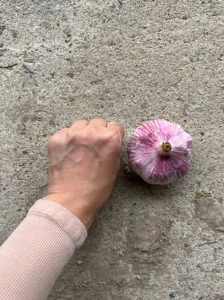 농부딸님의 작성글 사진