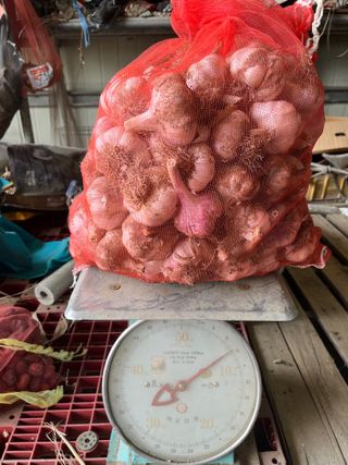 농부딸님의 작성글 사진