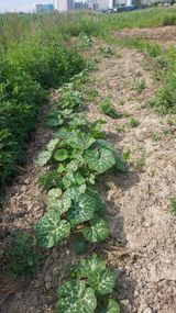 팜모닝 자유주제·사진전 게시글 이미지