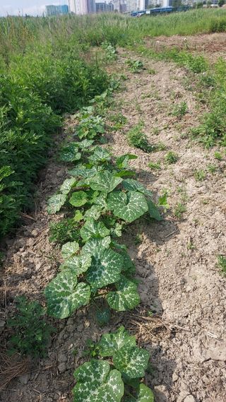 천지창조님의 자유주제 · 사진전 작성글 사진