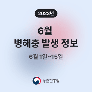 병해충발생정보님의 팜모닝공식 · 병해충발생정보 작성글 사진