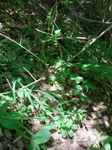 팜모닝 · 게시글 이미지