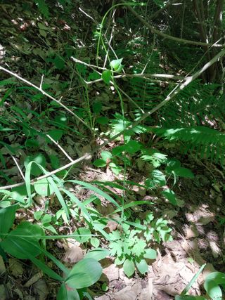 김봉호님의 작성글 사진