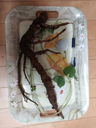 김봉호님의 작성글 사진