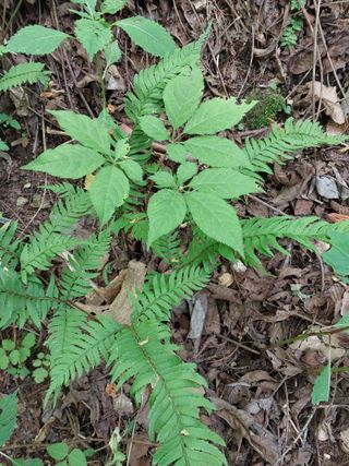 김봉호님의 작성글 사진