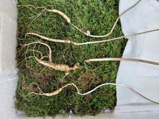 김봉호님의 작성글 사진