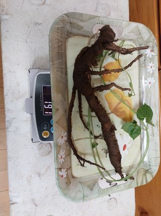 김봉호님의 작성글 사진