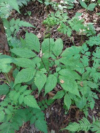 김봉호님의 작성글 사진