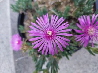 자경님의 벼 · 자유게시판 작성글 사진