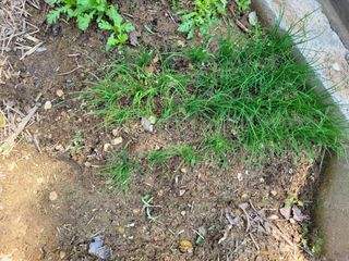 박종이님의 자유주제 · 자유게시판 작성글 사진