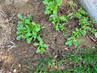 박종이님의 자유주제 · 자유게시판 작성글 사진