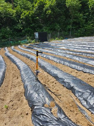 서상진님의 콩 · 자유게시판 작성글 사진