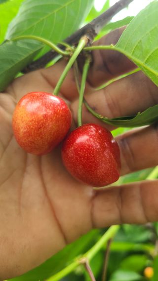 김호준님의 자유주제 · 자유게시판 작성글 사진