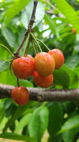 김호준님의 자유주제 · 자유게시판 작성글 사진