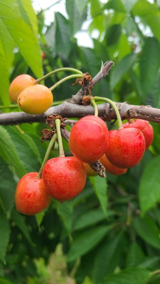 김호준님의 자유주제 · 자유게시판 작성글 사진