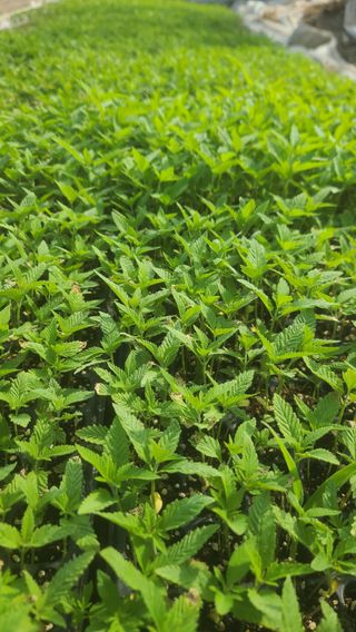 양태문님의 자유주제 · 자유게시판 작성글 사진