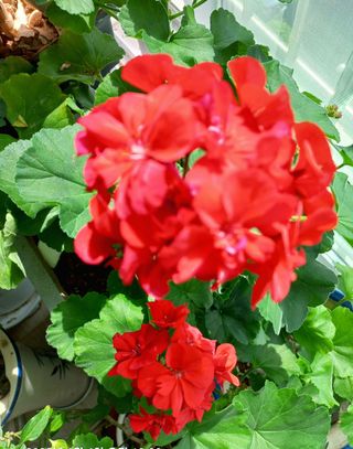 조준제님의 우리동네 · 동네자랑 작성글 사진