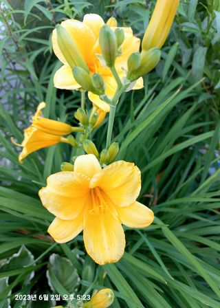 조준제님의 우리동네 · 동네자랑 작성글 사진