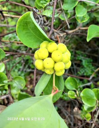 조준제님의 우리동네 · 동네자랑 작성글 사진