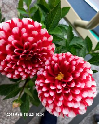 조준제님의 우리동네 · 동네자랑 작성글 사진