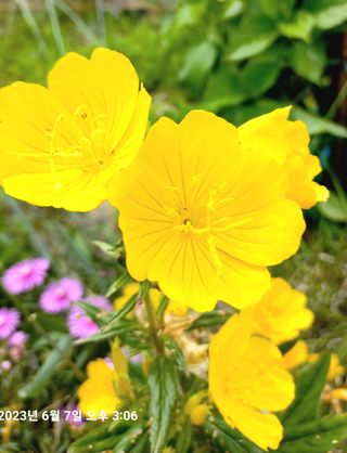 조준제님의 우리동네 · 동네자랑 작성글 사진