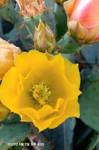 조준제님의 우리동네 · 동네자랑 작성글 사진