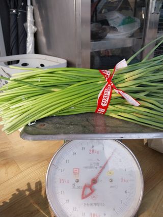 귤7463님의 농부님! 어떤 농약 쓰세요? · 참여 작성글 사진