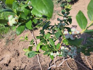 행복한윤이님의 기타작물 · 자유게시판 작성글 사진